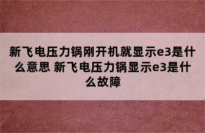 新飞电压力锅刚开机就显示e3是什么意思 新飞电压力锅显示e3是什么故障